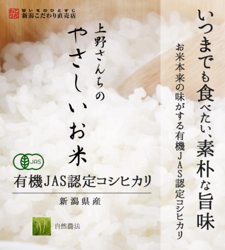 新潟産 コシヒカリ 上野さんちのやさしいお米 白米 5kg