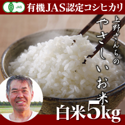 【2022年度産】新潟産 コシヒカリ 上野さんちのやさしいお米 白米 5kg