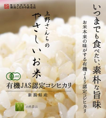 【2022年度産】新潟産 コシヒカリ 上野さんちのやさしいお米 玄米 5kg