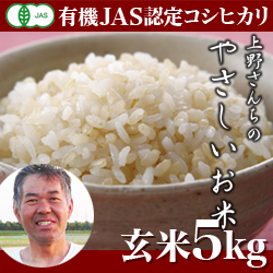 【2023年度産】新潟産 コシヒカリ 上野さんちのやさしいお米 玄米 5kg