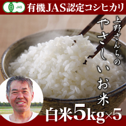 　定期便　新潟産 コシヒカリ 上野さんちのやさしいお米 白米 25kg