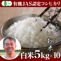 定期便　新潟産 コシヒカリ 上野さんちのやさしいお米 白米 50kg
