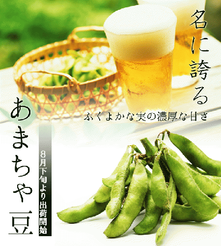 黒埼産茶豆 あまちゃ豆1kg(生産者・渡辺)