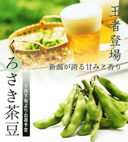 【2022年予約開始】黒埼産茶豆 くろさき茶豆1.5kg箱(生産者・青木)