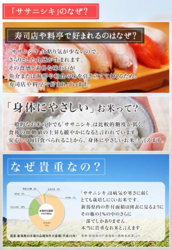 【2022年度産予約開始!】　新潟産 ササニシキ 上野さんちのやさしいお米 白米 5kg