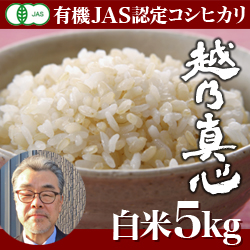 【令和3年度　新米　】新潟産 コシヒカリ 越乃真心 白米 5kg