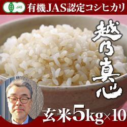 <定期便>【令和3年産米】新潟産 コシヒカリ 越乃真心 玄米 50kg