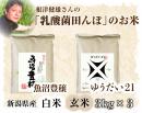 【令和5年度】魚沼産コシヒカリ『魚沼豊穣』or『ゆうだい21』 3kg×3　お得な3セット