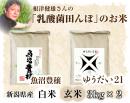 【令和5年度】魚沼産コシヒカリ『魚沼豊穣』or『ゆうだい21』 3kg×2　お得な2セット