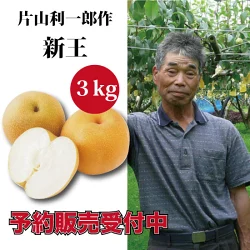 新王梨 3kg箱(生産者・片山)