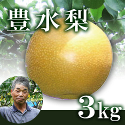 豊水梨 3kg箱(生産者・片山)