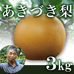 【2022年産予約開始】秋月梨 3kg箱(生産者・片山)