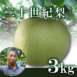 二十世紀梨 3kg箱(生産者・片山)