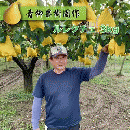 【2022年予約開始】ルレクチェ 新潟県加茂市 秀品(最高ランク) 3kg 7玉～8玉 青柳果樹園