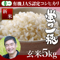 【令和3年度　新米　】新潟産コシヒカリ 蛍乃一穂 玄米5kg