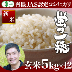 <定期便>【令和3年度　新米　】新潟産 コシヒカリ 蛍乃一穂 玄米 60kg