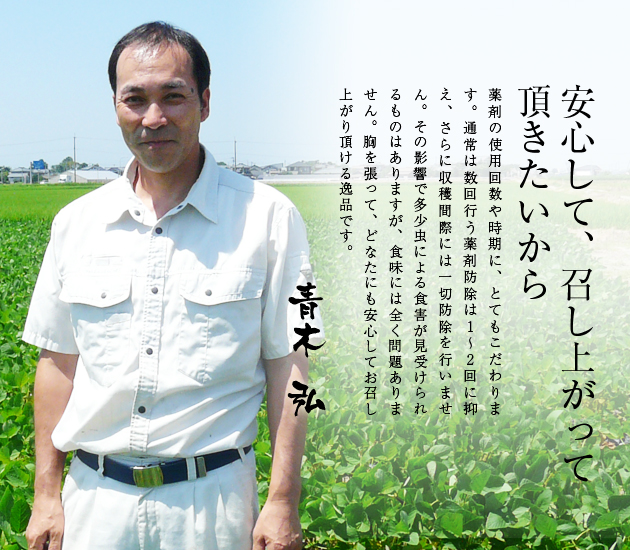 【2022年予約開始】黒埼産茶豆 くろさき茶豆1.5kg箱(生産者・青木)