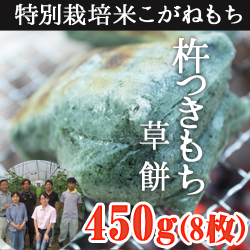杵つきもち 草餅450g(8枚入)(生産者中条農産)
