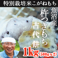魚沼産杵つきもち 古代餅1kg(生産者　佐藤)