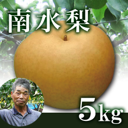 南水梨 5kg箱(生産者・片山)