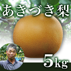 【2022年予約開始】秋月梨 5kg箱(生産者・片山)