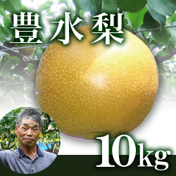 豊水梨 10kg箱(生産者・片山)
