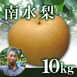 南水梨 10kg箱(生産者・片山)